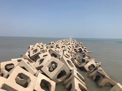 -东疆建设开发纪念公园