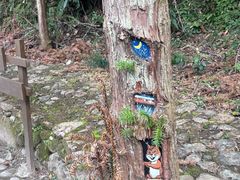 -龙湾潭国家森林公园