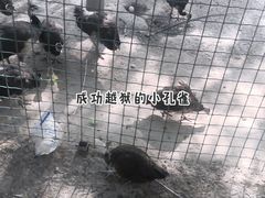 -南大港湿地风景区