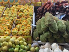 -三亚新鸿港水果一级批发市场