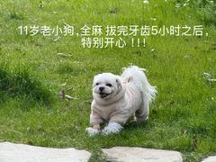 -狗舍宠物医院(四季商业广场店)