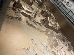 -洛阳周王城天子驾六博物馆