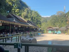 -野象谷景区