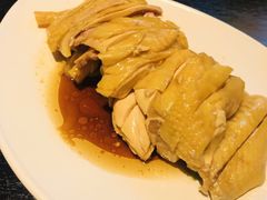 -Asianplus海蓝鸡饭
