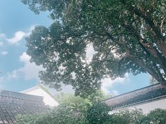 -南京中国近代史遗址博物馆(南京总统府)