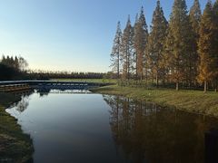 -黄海国家森林公园