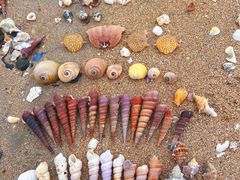 -馨越楼·点心·粤菜(赤坎店)