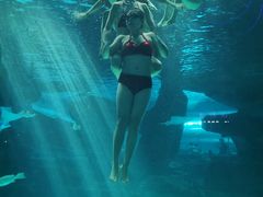 -泉城欧乐堡海洋极地世界