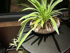 -虹之森·小馆