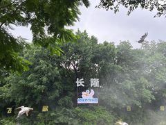 -广州长隆飞鸟乐园