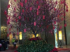 -广州天河希尔顿酒店