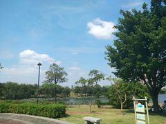 -飞来湖湿地公园