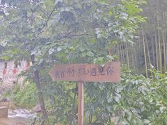 -林坑古村落