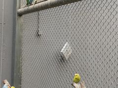 -正佳雨林生态植物园