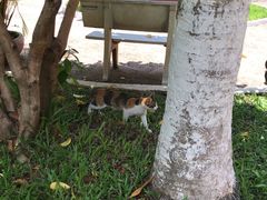 -柬埔寨国家博物馆