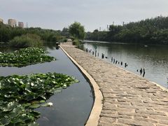 -前关湿地公园