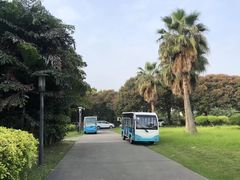 -福建鲤鱼洲酒店