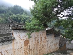 -杨家堂村