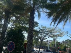 -三亚福朋喜来登酒店·大堂吧