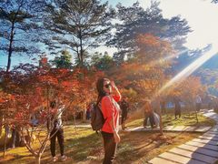 -广州市帽峰山景区