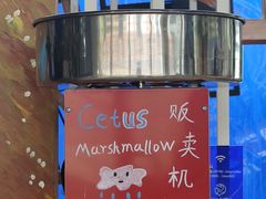 -Cetus coffee鲸鱼座咖啡·拼豆(二仙桥公园店)