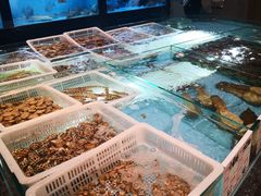 水产区-榕树下海鲜馆(坪山路店)