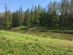 -黄海国家森林公园