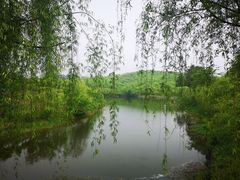 -天目湖山水园