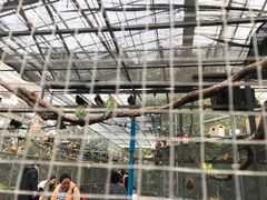 -呀路古热带植物园
