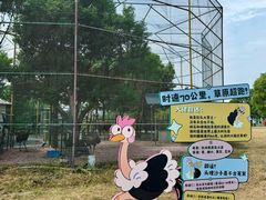 -苏州太湖西山岛开心农场