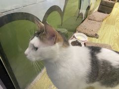-废柴猫概念馆·桌游电玩卡牌(人广世茂店)