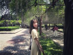 -嘉定紫藤园