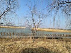 -野鸭湖国家湿地公园