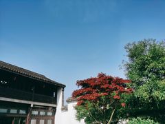 -何园
