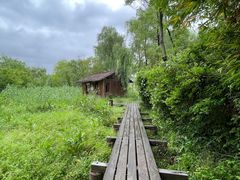 -西溪国家湿地公园