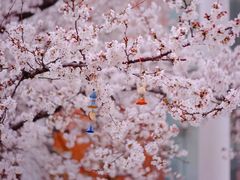 -南京外国语学校(仙林分校西区)