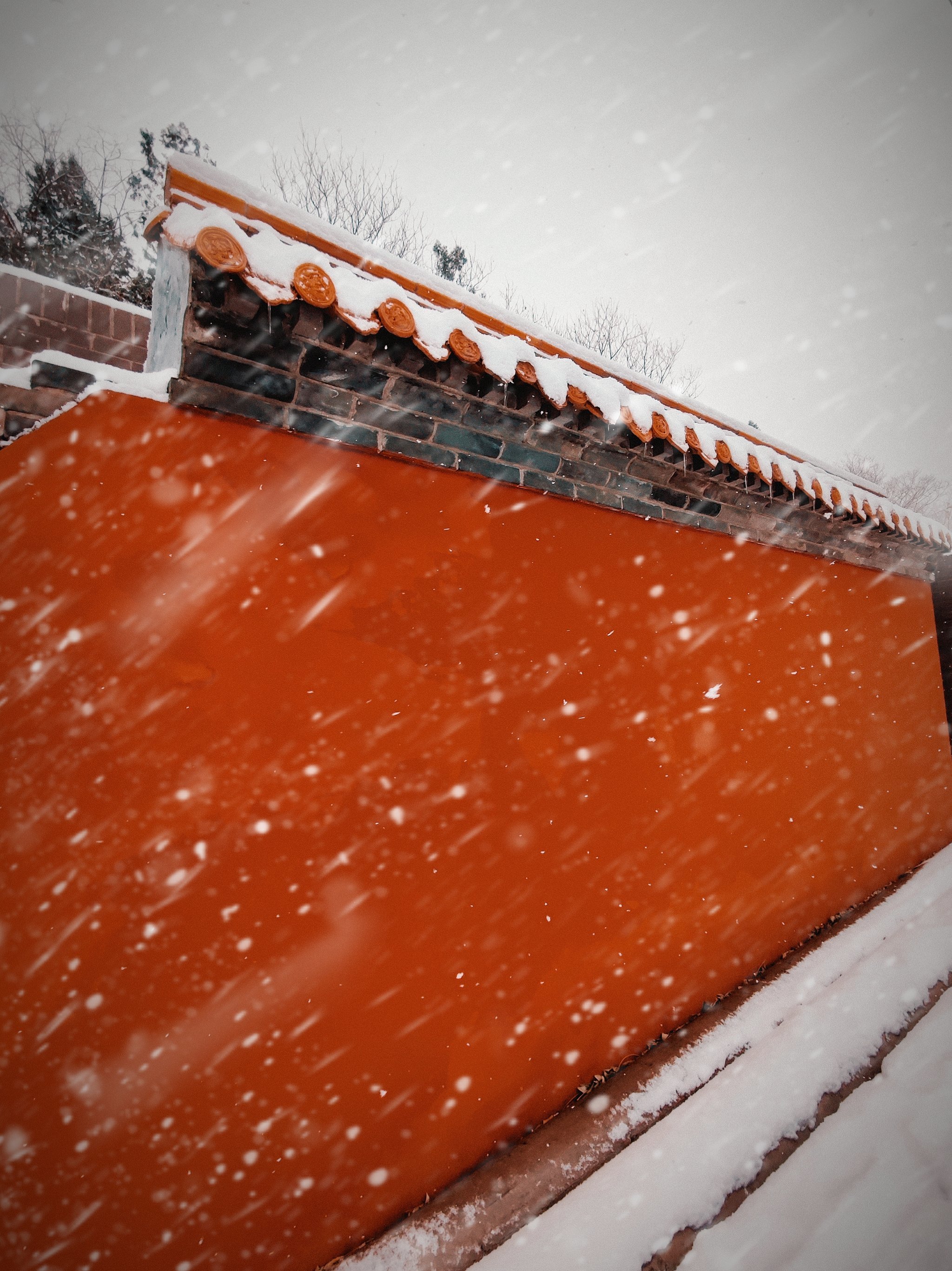 快快,进来夸夸我!