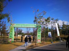 -上海长兴岛郊野公园