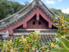 -宁波市保国寺古建筑博物馆