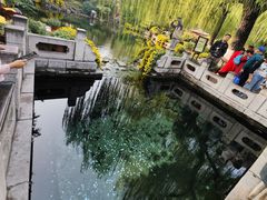 -趵突泉景区
