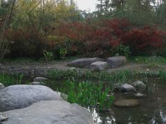 android_upload_pic-新江湾城公园