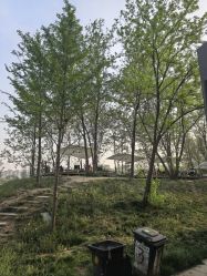 -268童话露营农场·烧烤·团建
