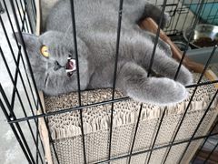 -鑫雅居公寓(广州南站地铁站店)