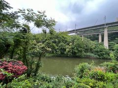 -阿哈湖国家湿地公园