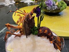 -半岛翡丽海鲜自助餐厅(观风亭店)