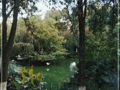-昆明动物园