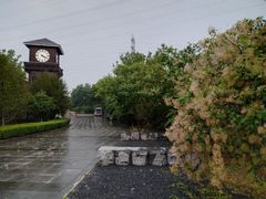 -永定河休闲森林公园