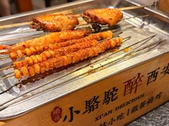 -福苗小骆驼烧烤(大唐不夜城店)