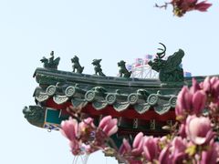 -天津大悲禅院