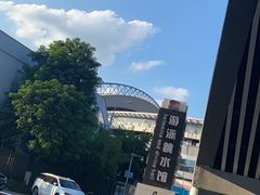 -重庆市奥林匹克体育中心-游泳跳水馆